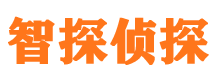 康县侦探公司